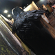 Illustration for article titled I visited the GoT Exhibition today
